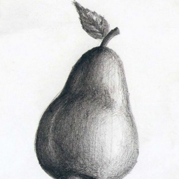 Груша карандашом