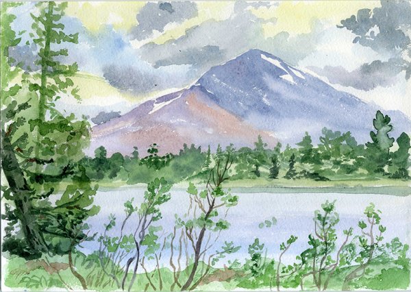 Тайга рисунок