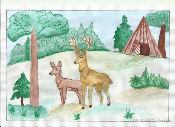 Тайга рисунок