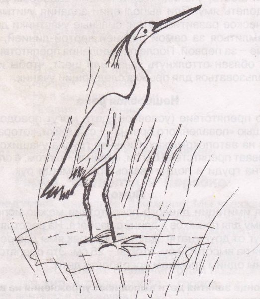 Цапля рисунок для детей карандашом
