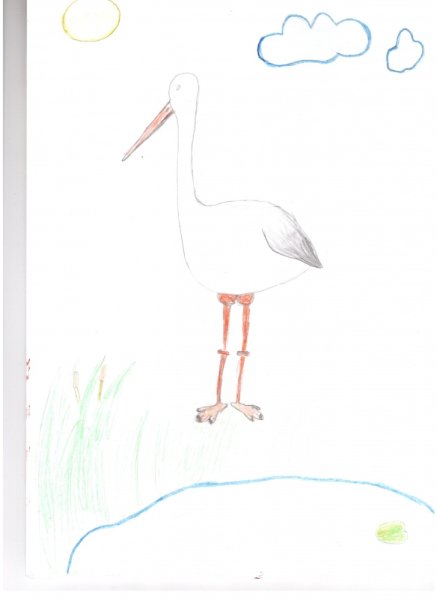Журавли для рисования