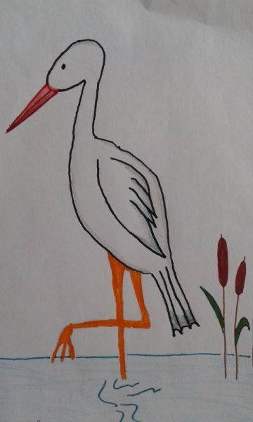 Как нарисовать журавля поэтапно