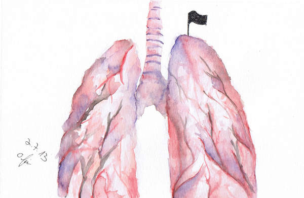 Контур легких человека
