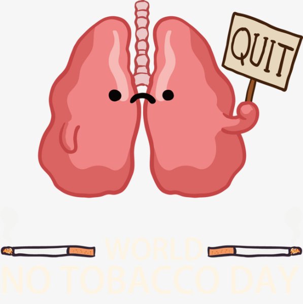 Лёгкие органы дыхания