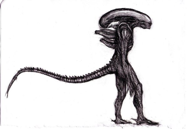 Чужой рисунок карандашом