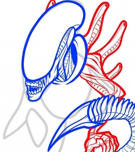 Чужие рисунки для начинающих