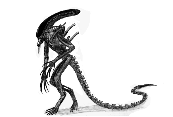 Xenomorph Tail