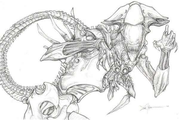 Чужой карандашом