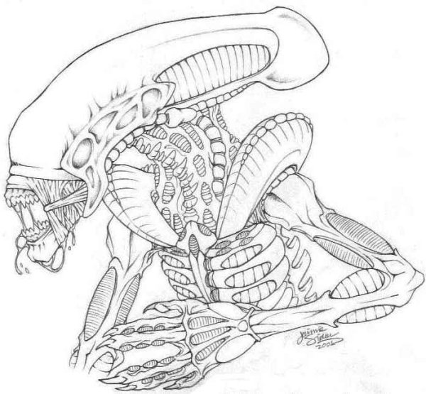 Раскраска чужой