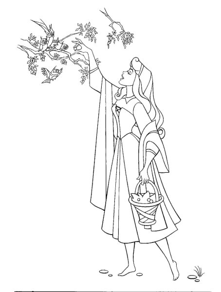 Спящая Царевна Жуковский раскраска