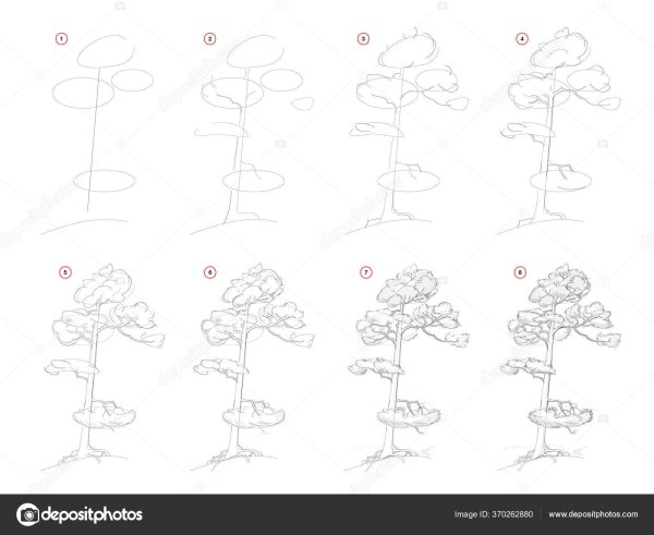 Этапы рисования сосны
