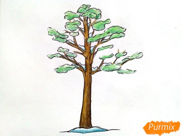 Сосна рисунок карандашом детский
