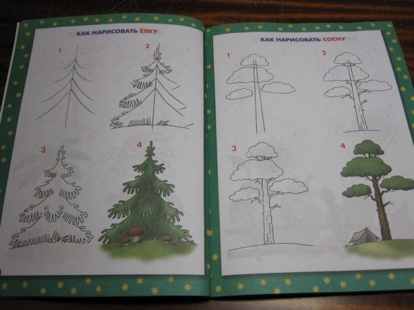 Как нарисовать сосну
