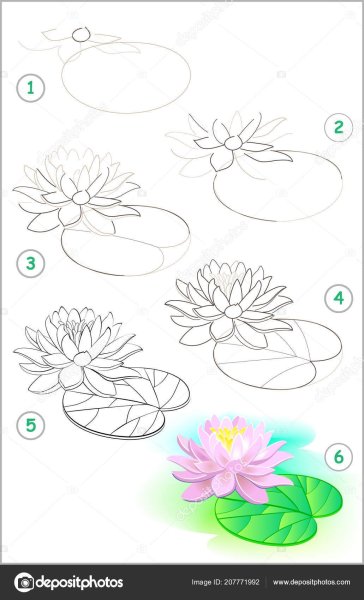 Поэтапное рисование лотоса