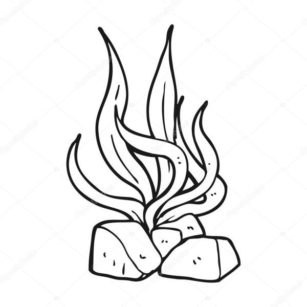 Водоросли карандашом