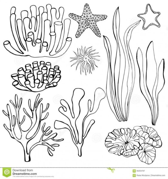 Водоросли для вырезания