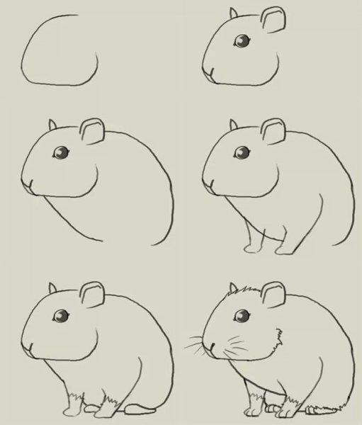 Хомяк рисунок карандашом