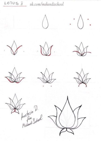Поэтапное рисование лотоса