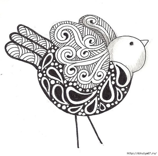 Дудлинг птичка