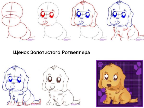 Рисунок щенка для срисовки