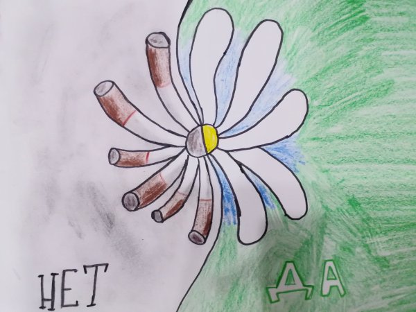 Плакат здоровый образ жизни