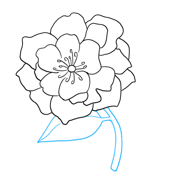 Пион нарисовать легко