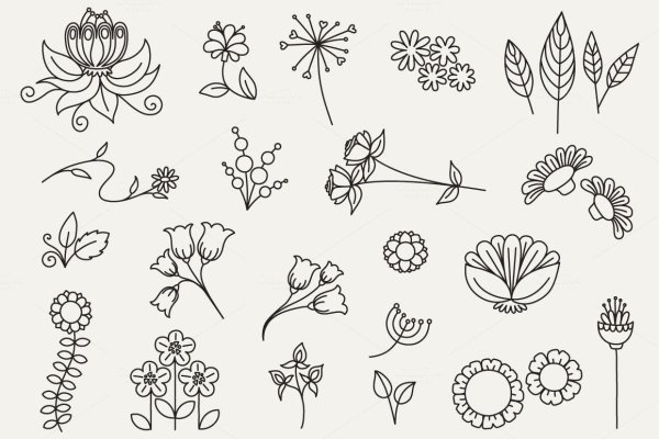 Линейный рисунок растения