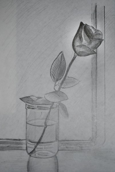 Натюрморт карандашом для срисовки