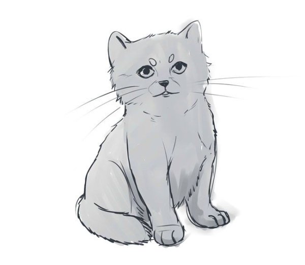 Рисунки для срисовки котики