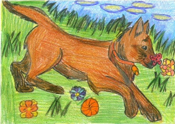 Каштанка рисунок