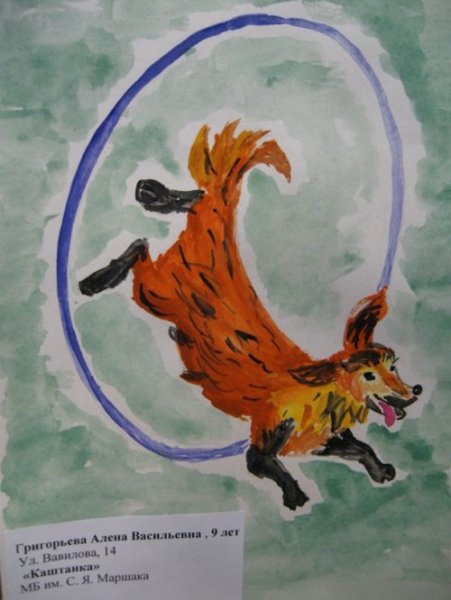 Каштанка рисунки легкие