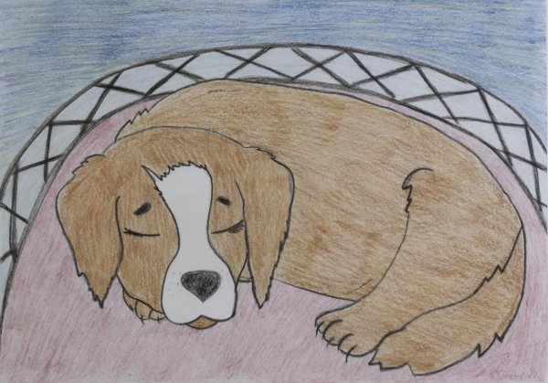 Как нарисовать собаку Каштанку