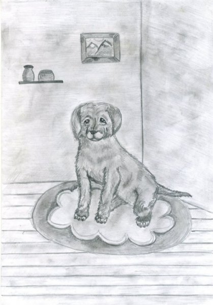 Каштанка рисунок карандашом