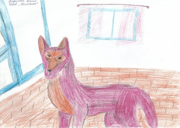 Собака каштанка рисунок