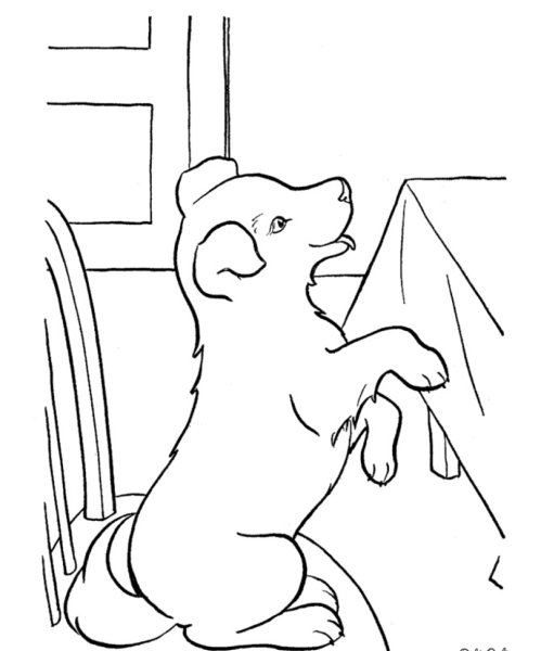 Раскраска собака на задних лапах