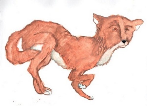 Рисунок каштанка легкий