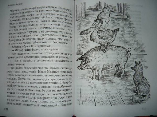 Каштанка раскраска