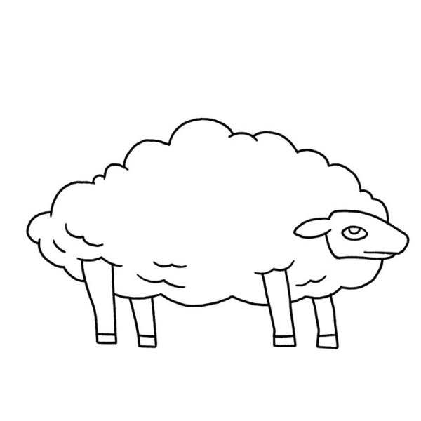Рисование овцы