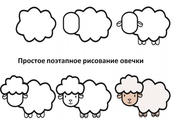 Схема рисования овечки для детей