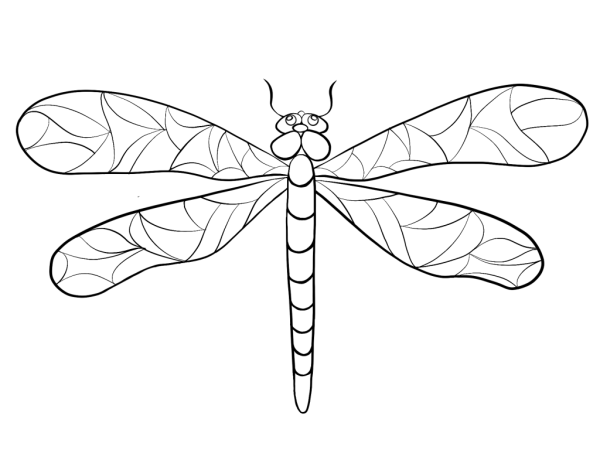 Стрекоза раскраска