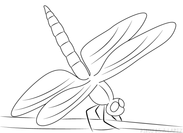 Стрекоза рисунок карандашом детский