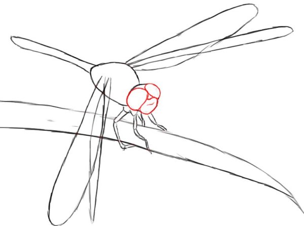 Этапы рисования Стрекозы