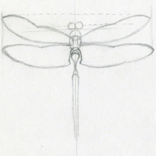 Этапы рисования Стрекозы