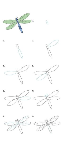 Стрекоза рисунок для детей карандашом поэтапно