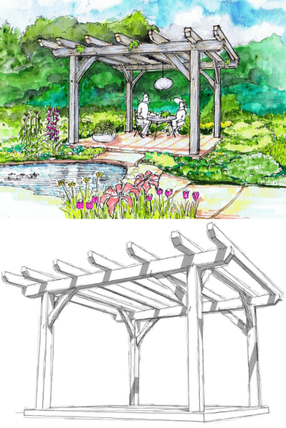 Эскиз озеленения перголы