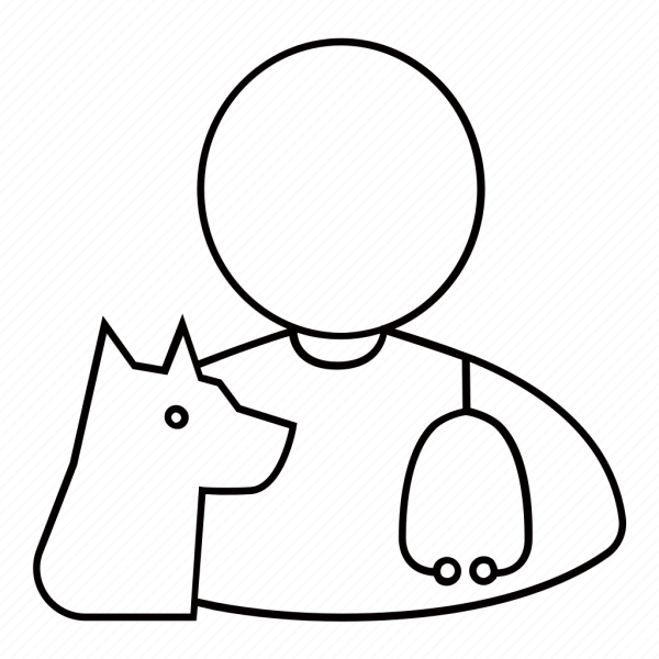 Рисунок ветеринара легкий