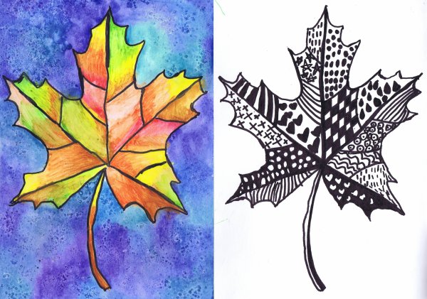 Кленовый лист рисунок
