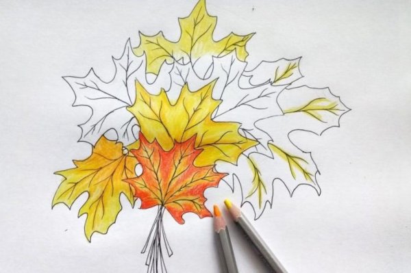 Как рисовать листья пошагово
