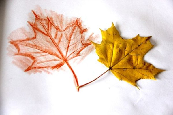 Осенние картинки для срисовки