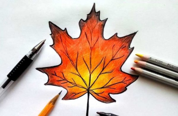 Лист клена поэтапное рисование